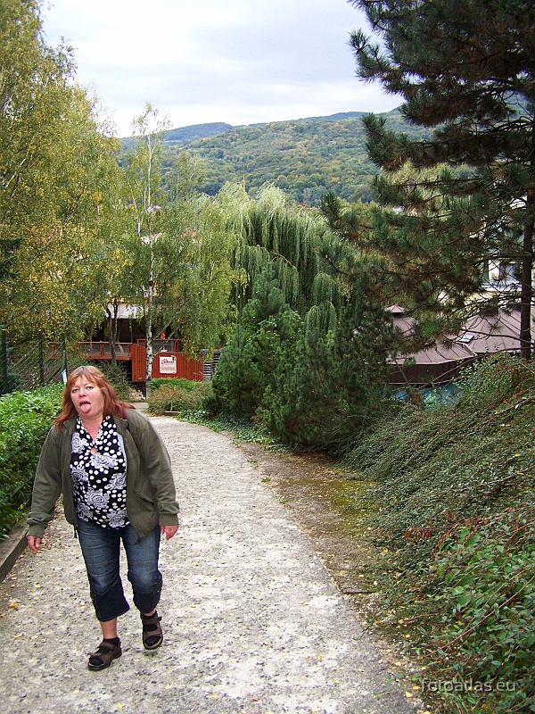 Usti_nad_Labem_20091004_06.JPG