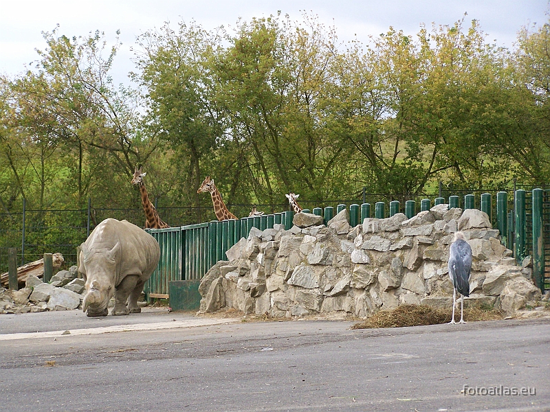 Usti_nad_Labem_20091004_18.JPG