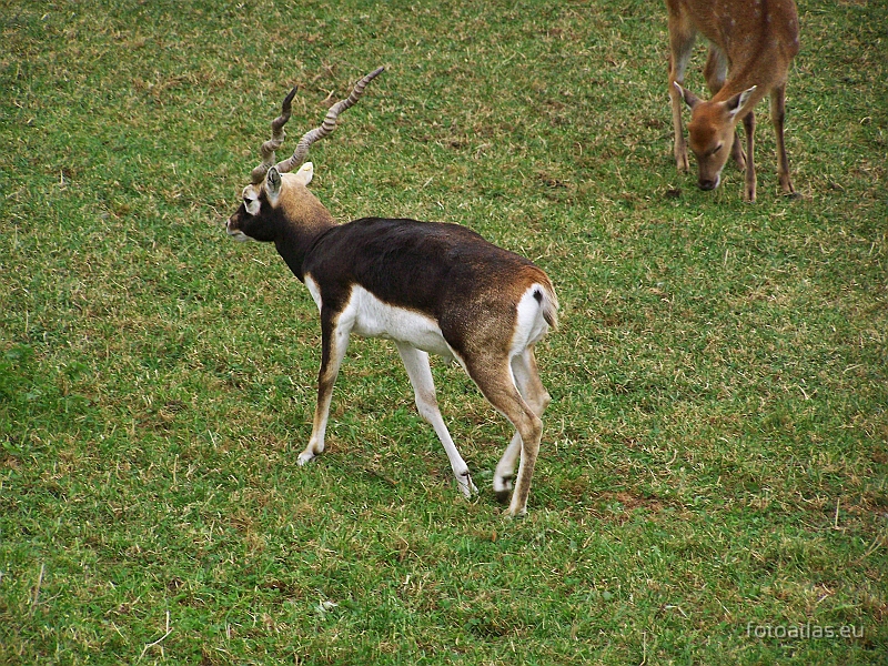 Usti_nad_Labem_20091004_25.JPG