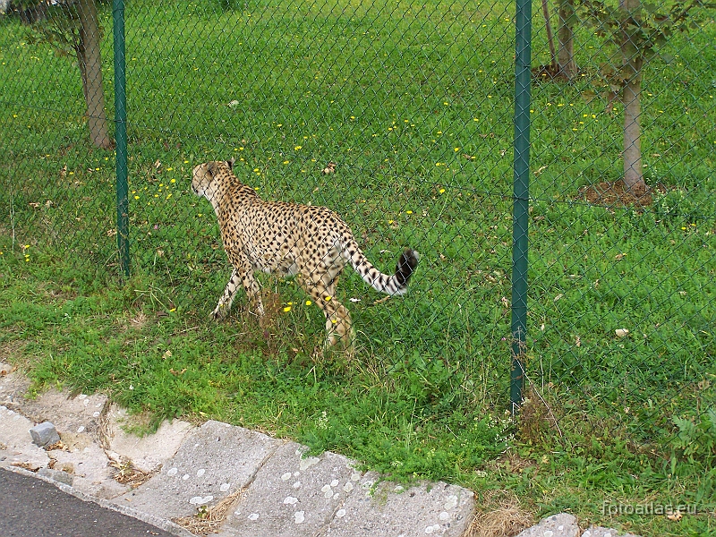 Usti_nad_Labem_20091004_26.JPG