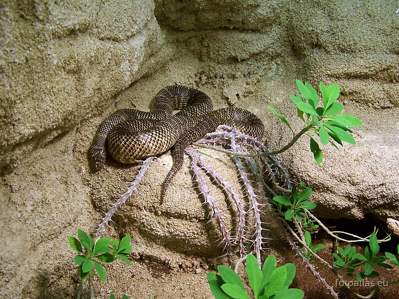 Usti_nad_Labem_20091004_34.JPG