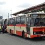 Autobusovy-den-Letnany-08