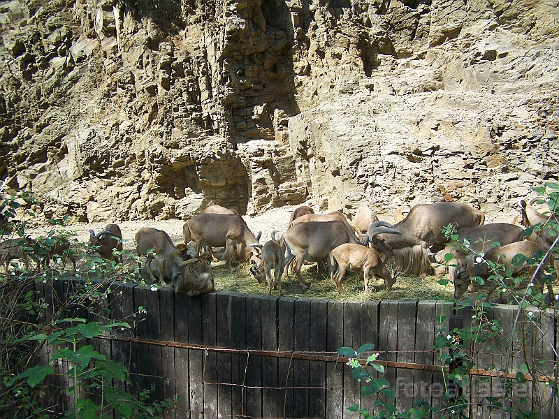 ZOO_Letiste_039.JPG