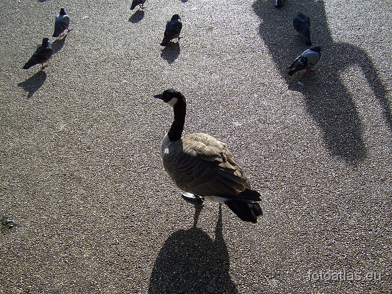 London_20090904_083.JPG