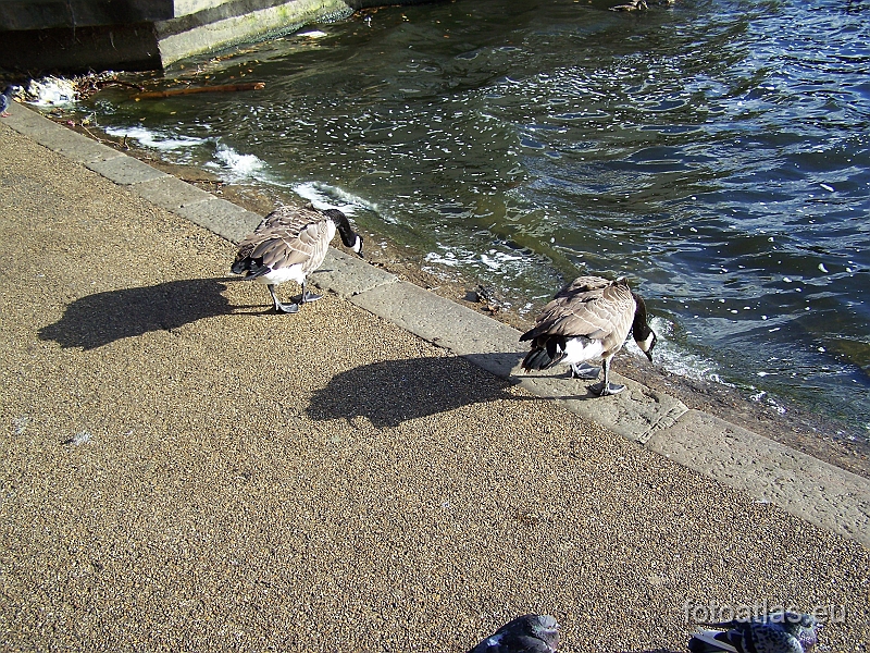 London_20090904_085.jpg