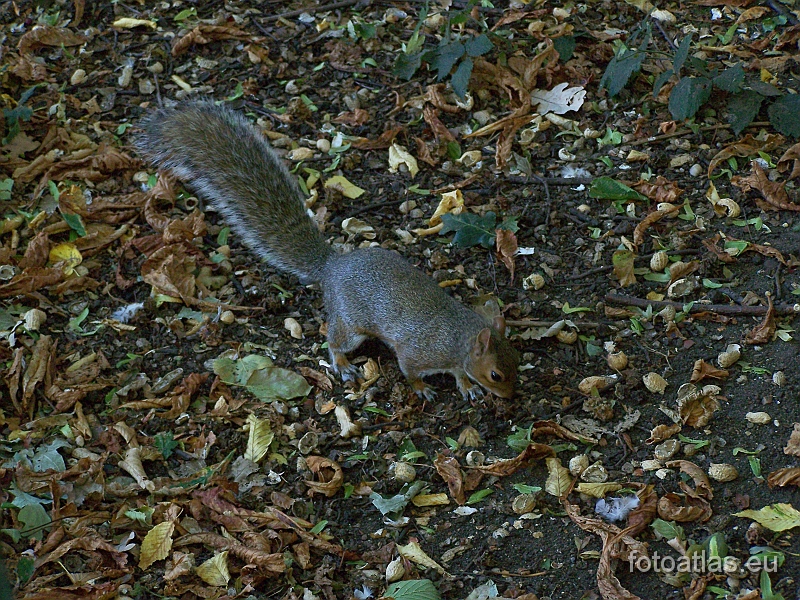 London_20090904_091.jpg