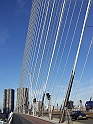 Rotterdam_033